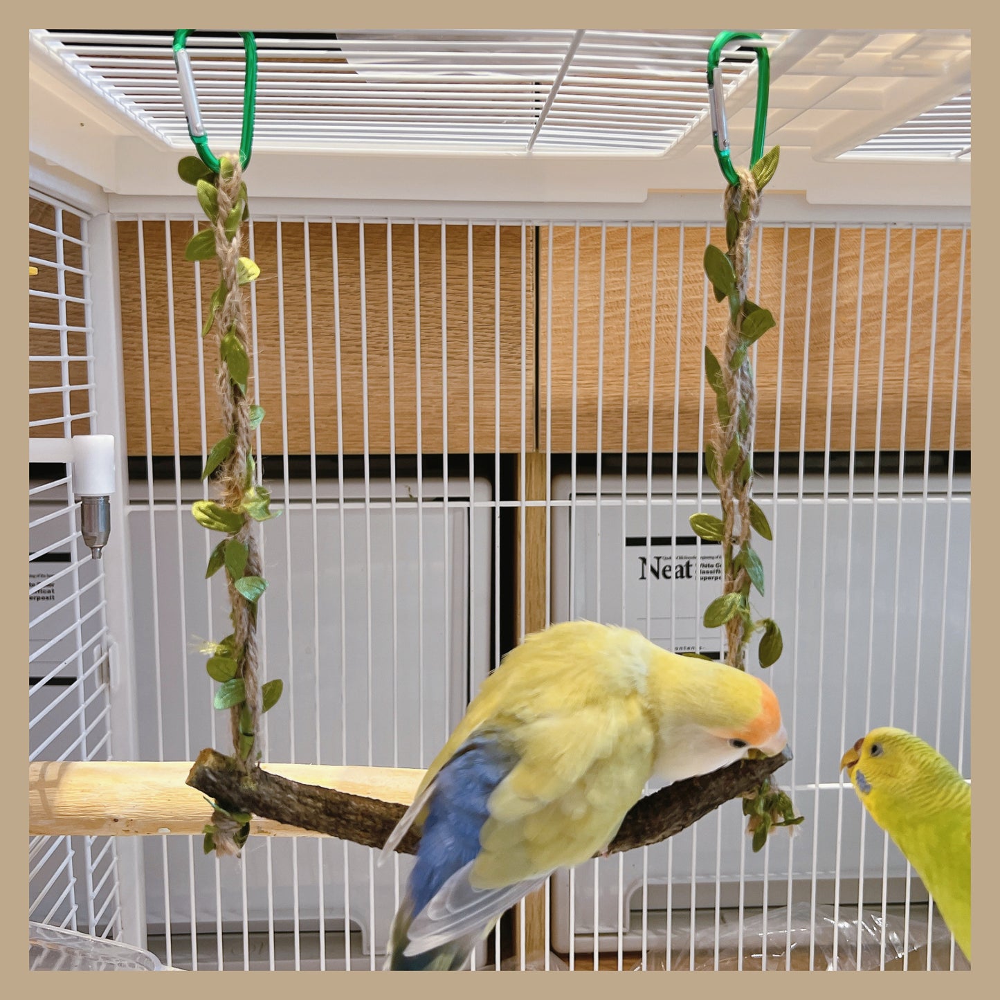 The "Forest Breeze" Natural Branch Swing – Rustic Cage Perch & Decor