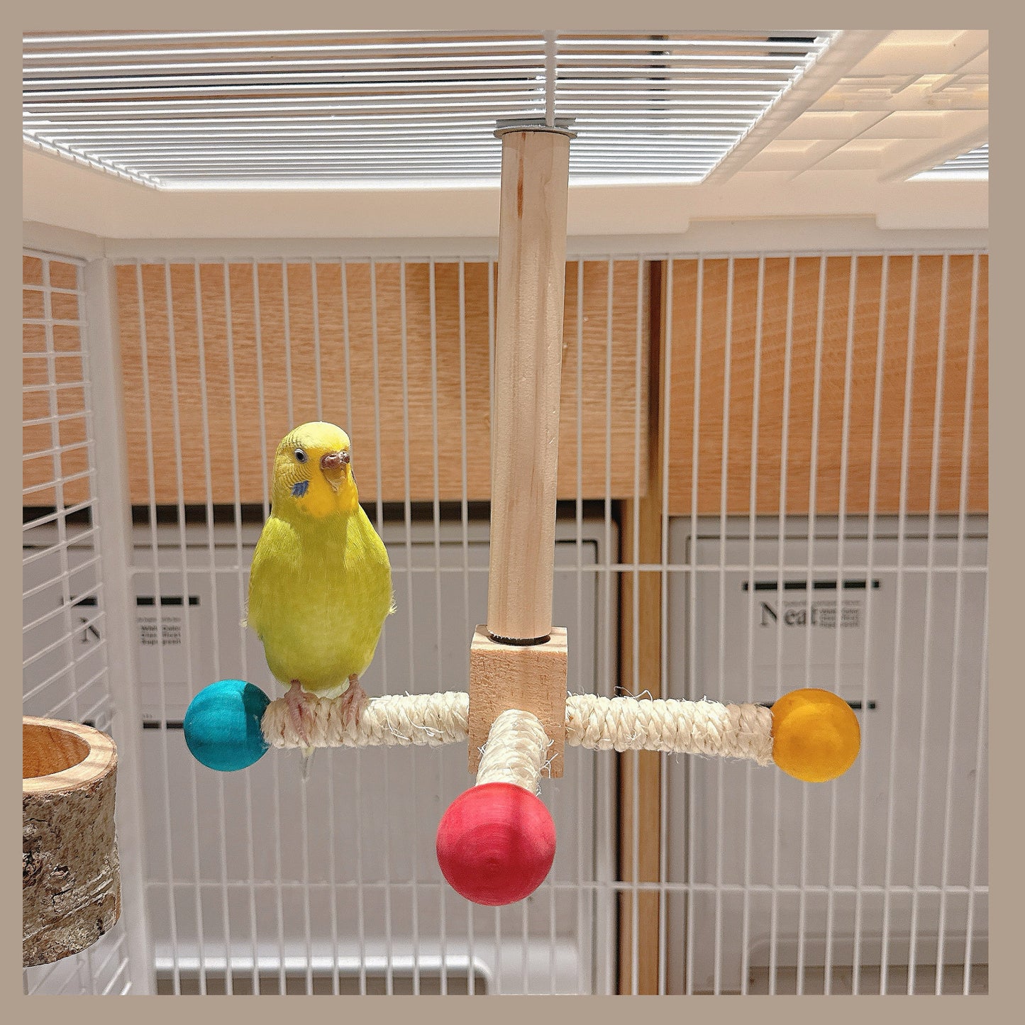 The Rainbow Carousel" – Spinning Rope Perch & Boredom Breaker