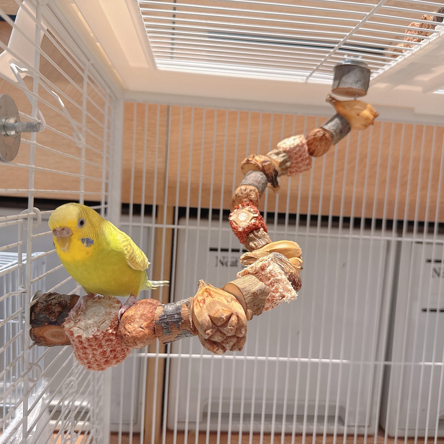 "The Harvest Twist" – Flexible Corn & Nut Foraging Perch (45cm\75cm)