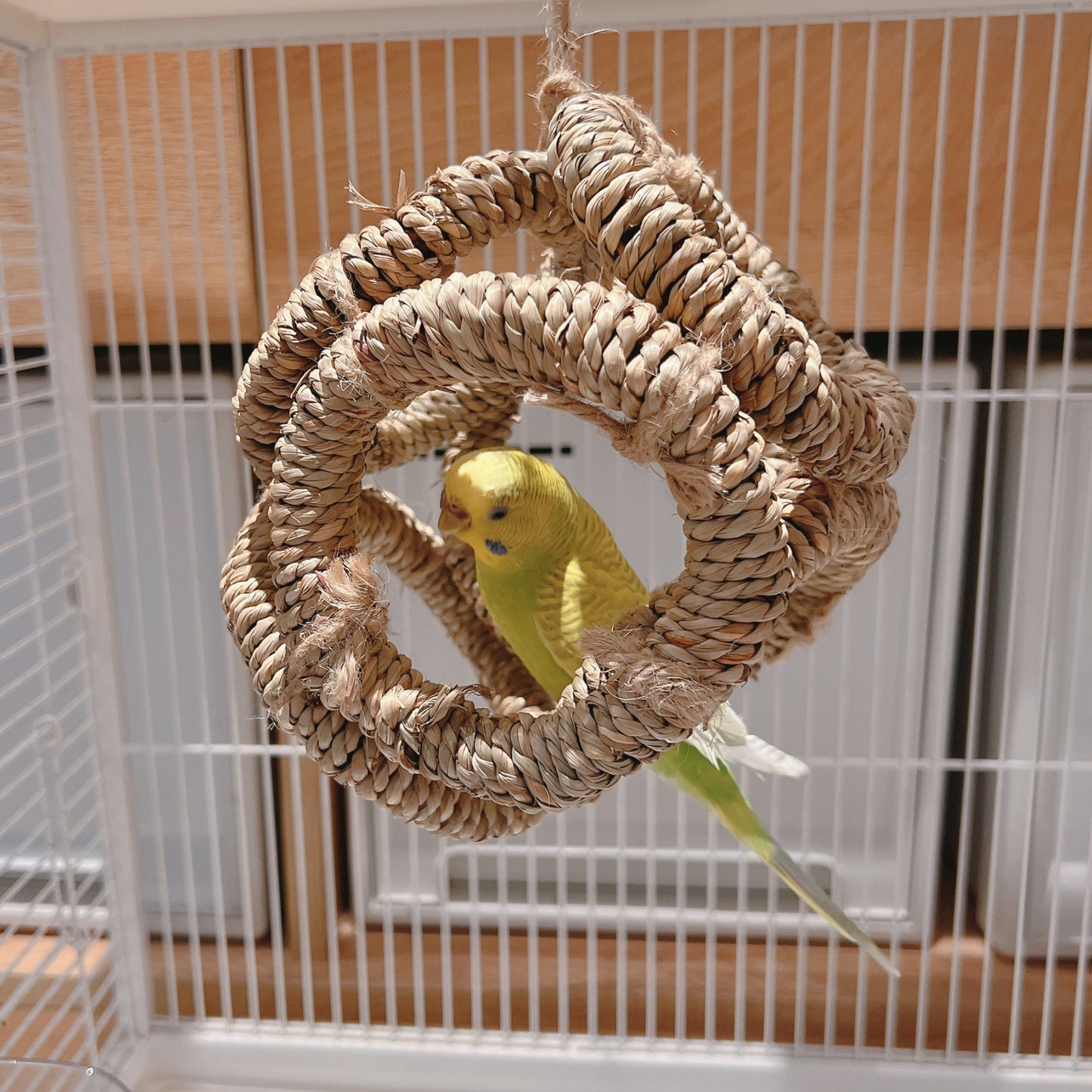 The "Cozy Hideout" Woven Seagrass Swing – Natural Shred, Climb & Sleep Ring