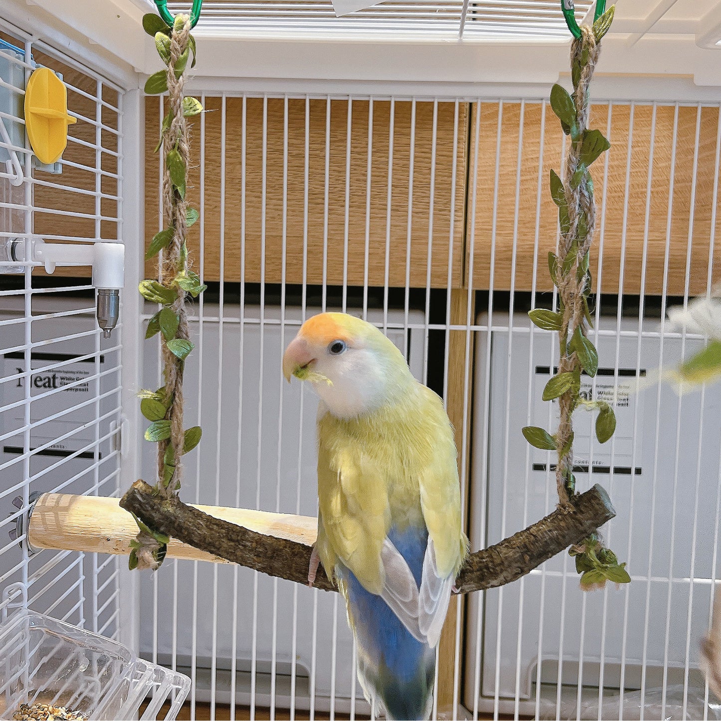 The "Forest Breeze" Natural Branch Swing – Rustic Cage Perch & Decor