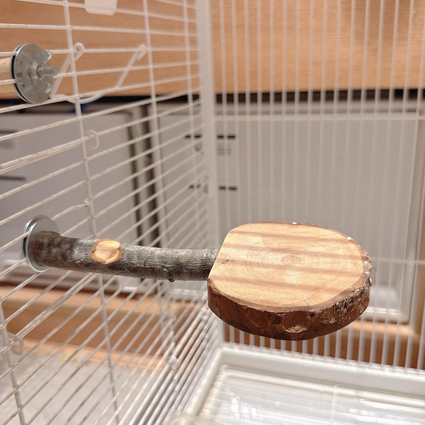 Natural Apple Wood "Rest & Play" Platform Perch – Healthy Feet & Safe Chewing