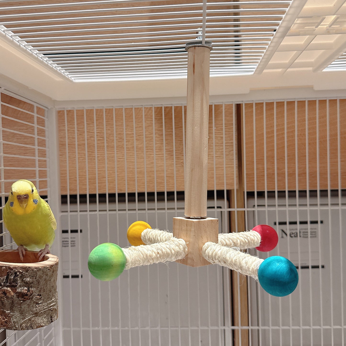 The Rainbow Carousel" – Spinning Rope Perch & Boredom Breaker