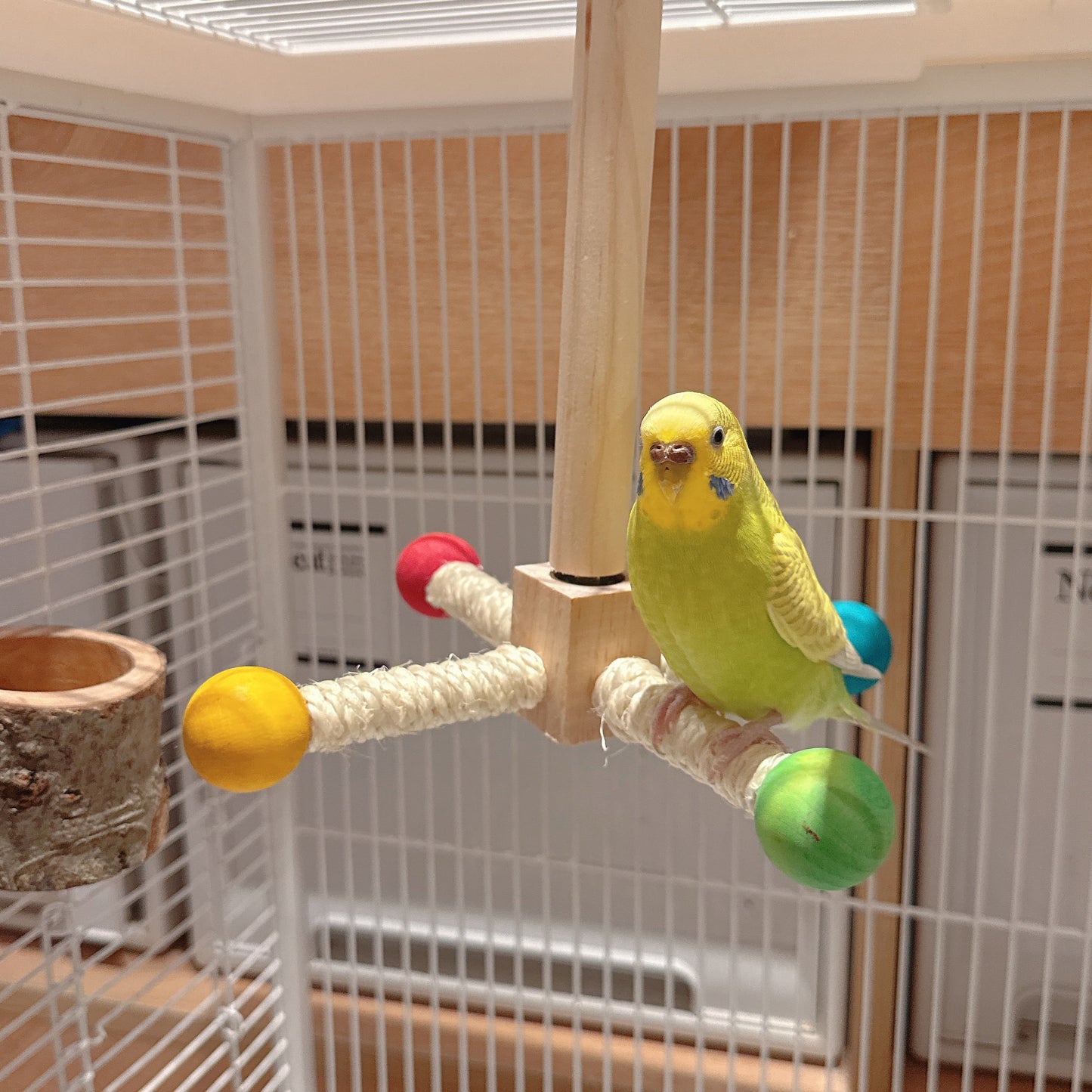 The Rainbow Carousel" – Spinning Rope Perch & Boredom Breaker