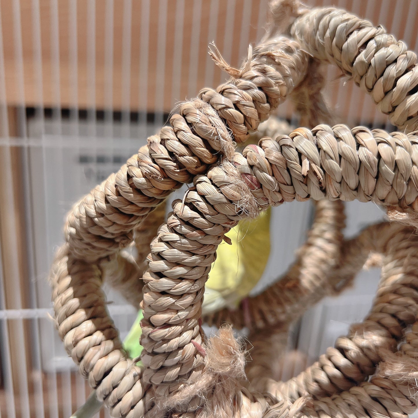 The "Cozy Hideout" Woven Seagrass Swing – Natural Shred, Climb & Sleep Ring