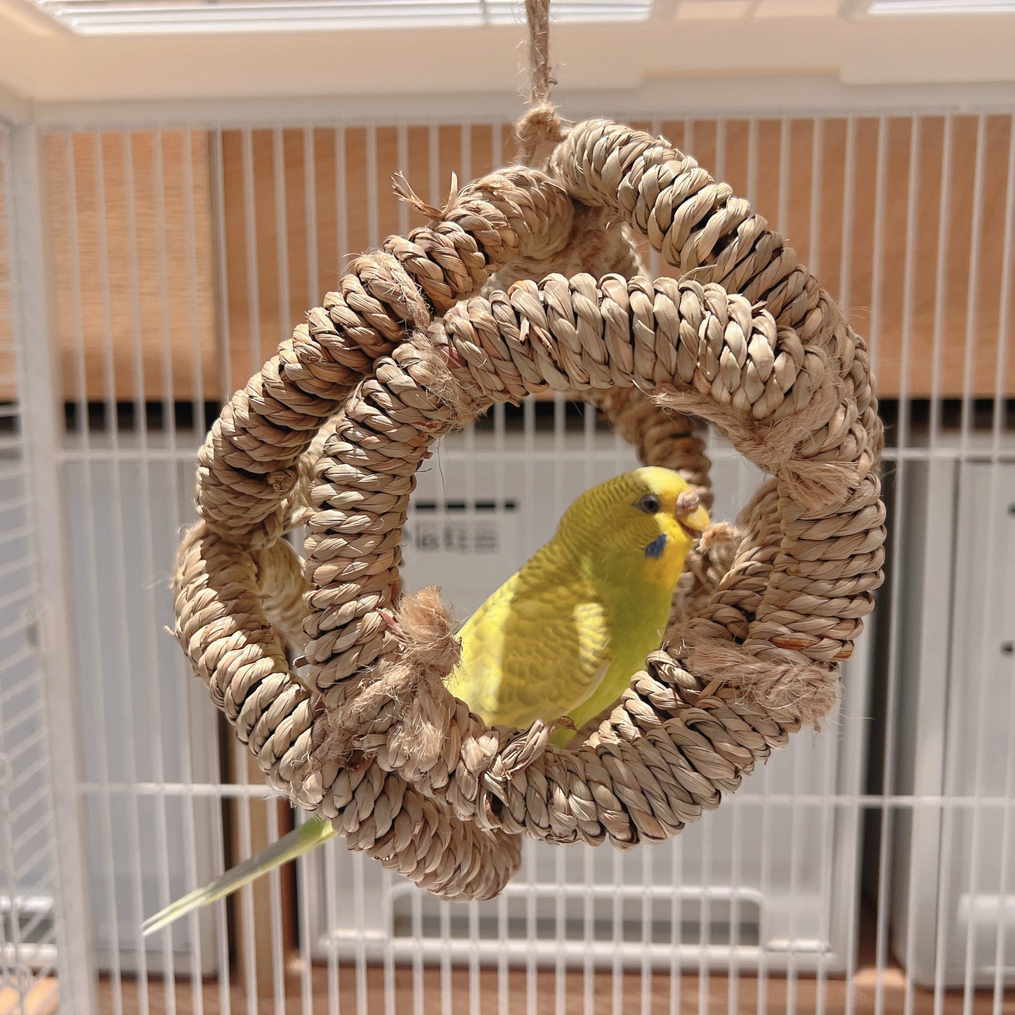 The "Cozy Hideout" Woven Seagrass Swing – Natural Shred, Climb & Sleep Ring