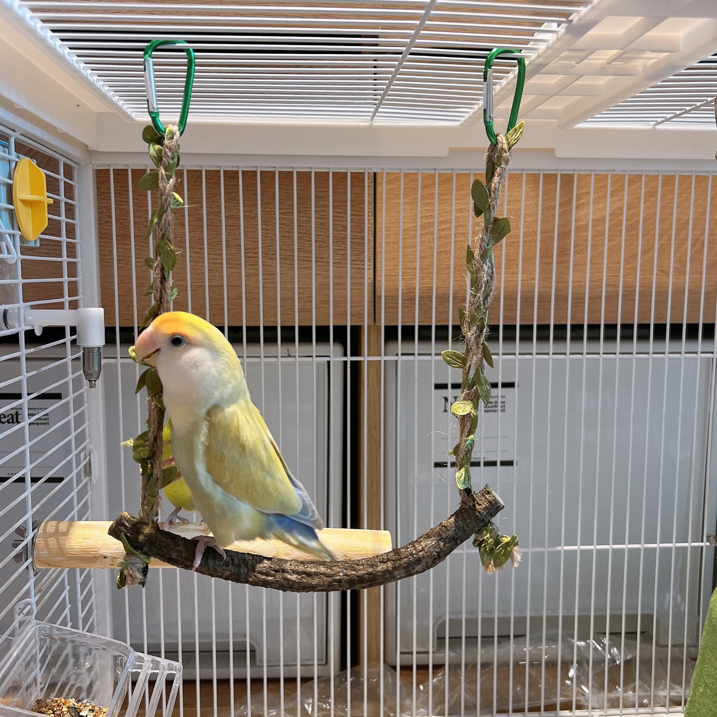 The "Forest Breeze" Natural Branch Swing – Rustic Cage Perch & Decor