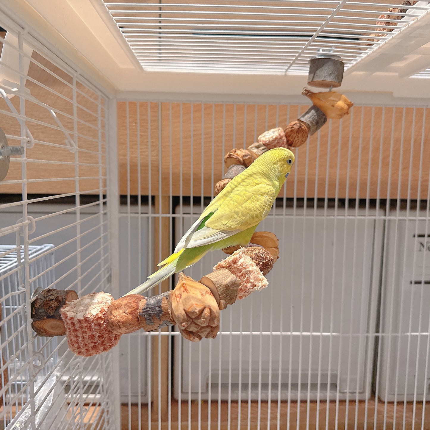 "The Harvest Twist" – Flexible Corn & Nut Foraging Perch (45cm\75cm)