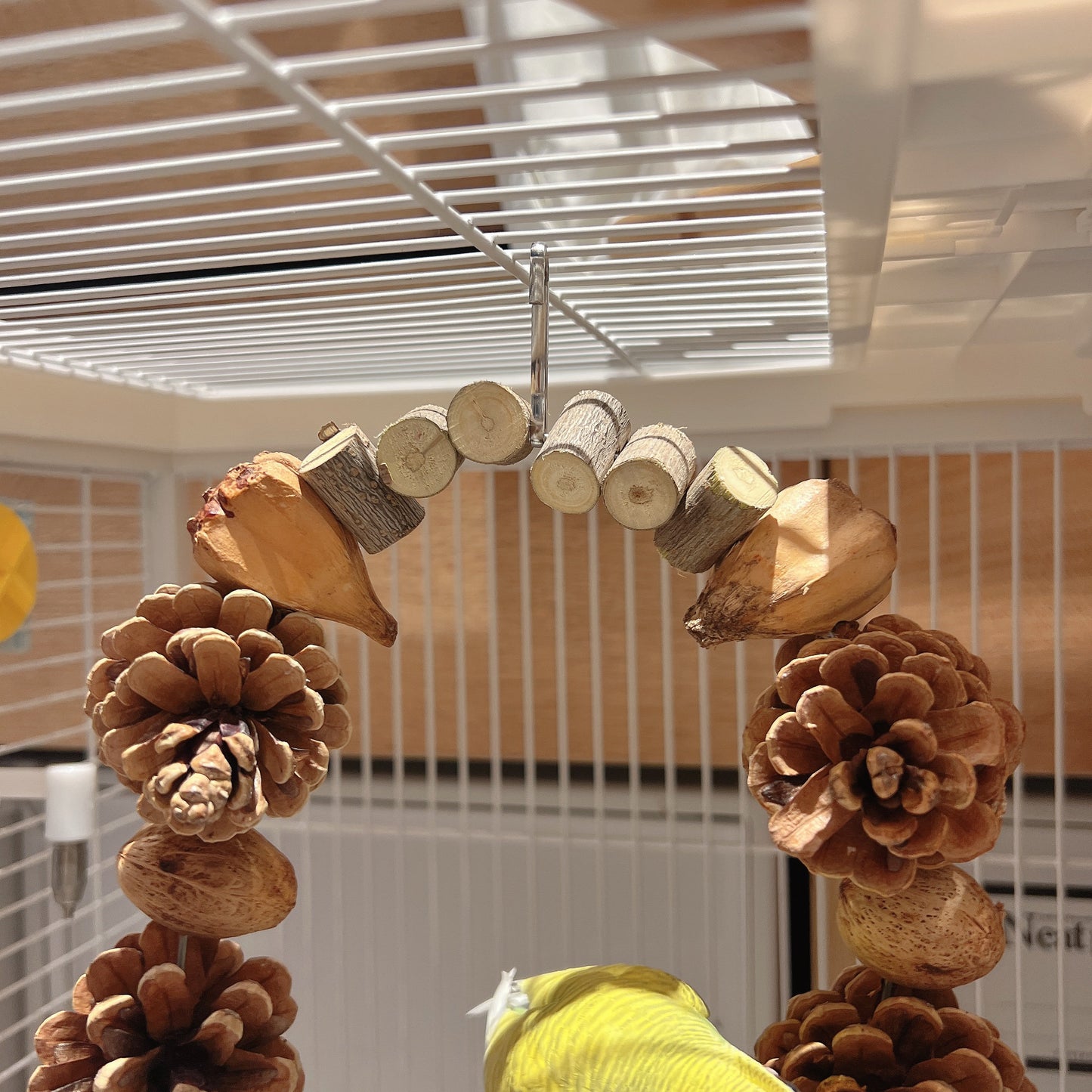 The "Forest Feast" Arch Swing – Pine Cone, Corn & Nut Chewing Gym