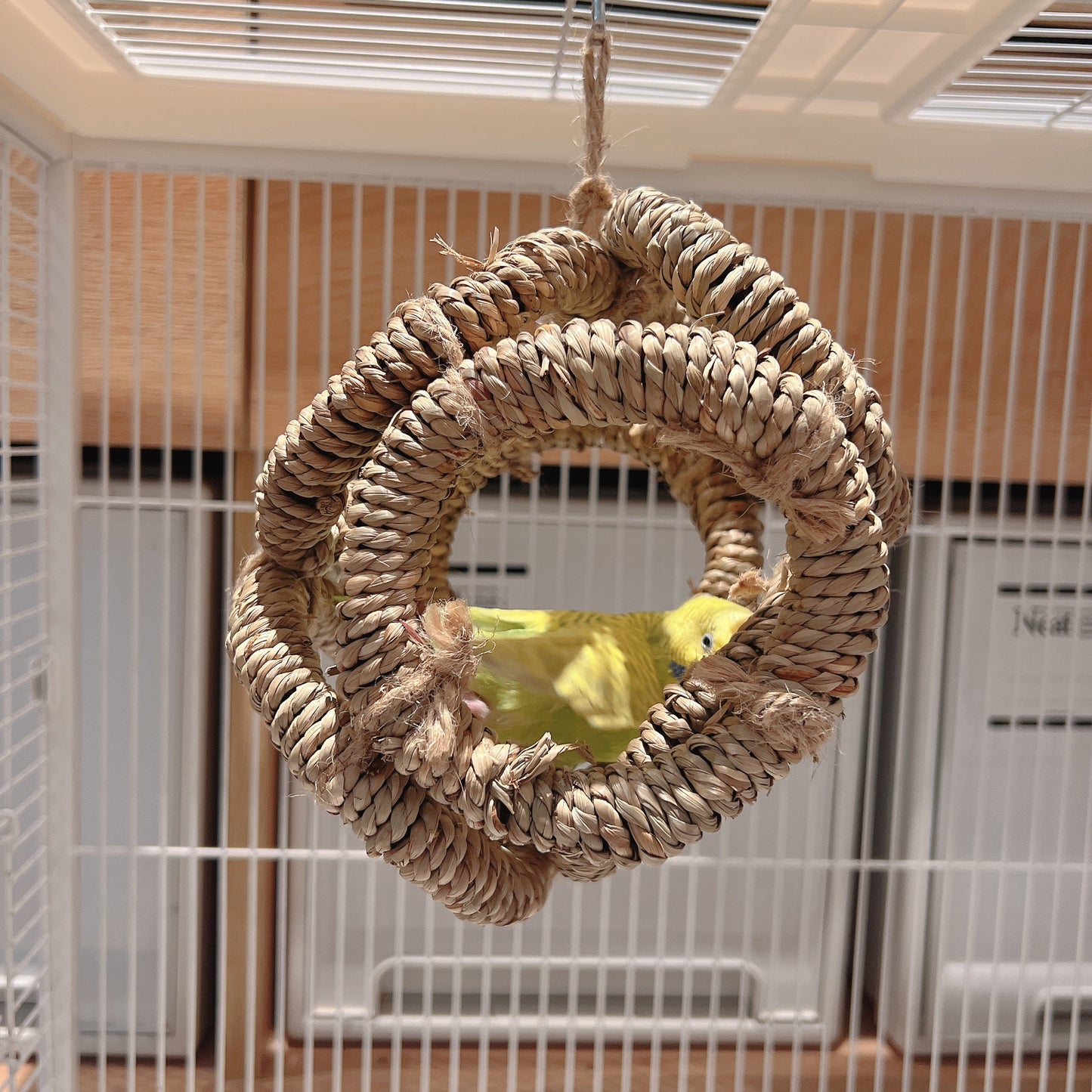 The "Cozy Hideout" Woven Seagrass Swing – Natural Shred, Climb & Sleep Ring