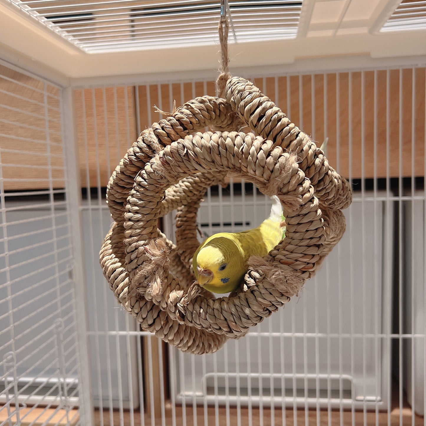 The "Cozy Hideout" Woven Seagrass Swing – Natural Shred, Climb & Sleep Ring