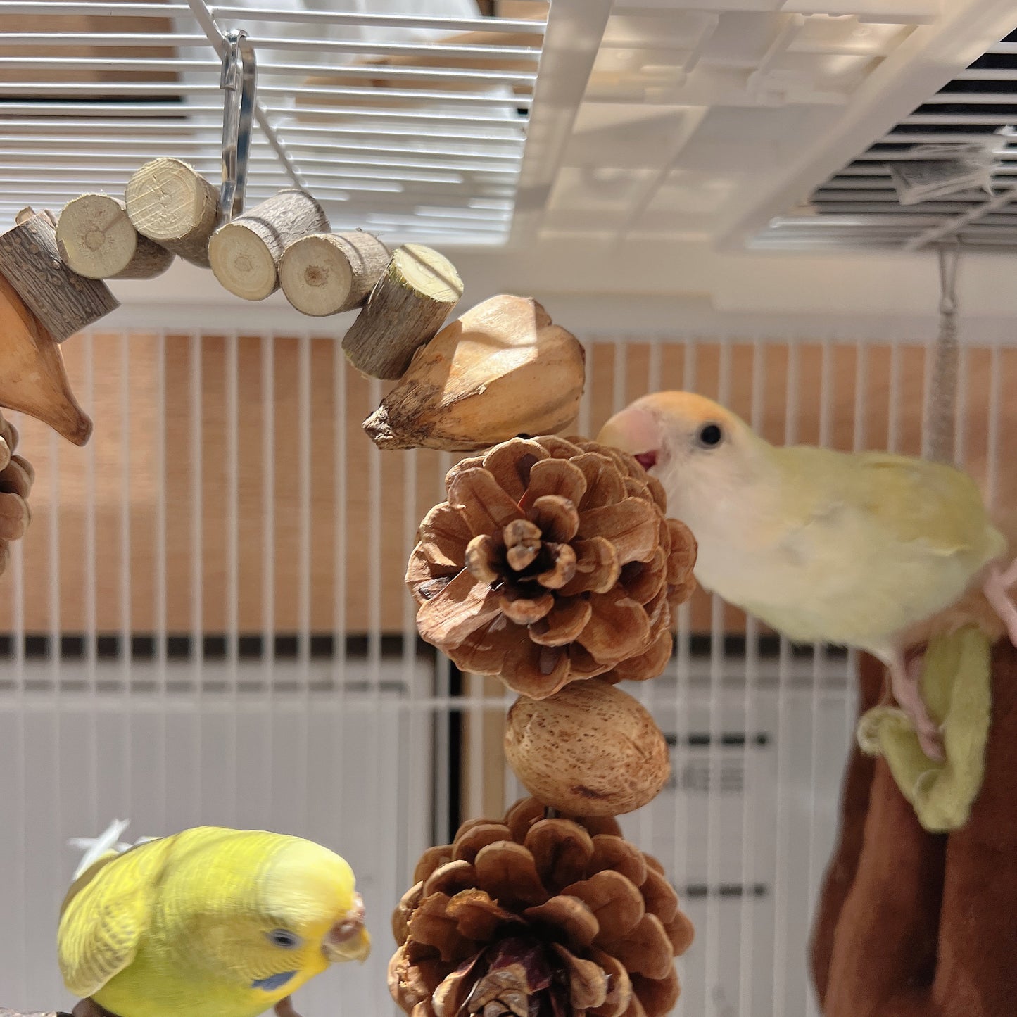 The "Forest Feast" Arch Swing – Pine Cone, Corn & Nut Chewing Gym