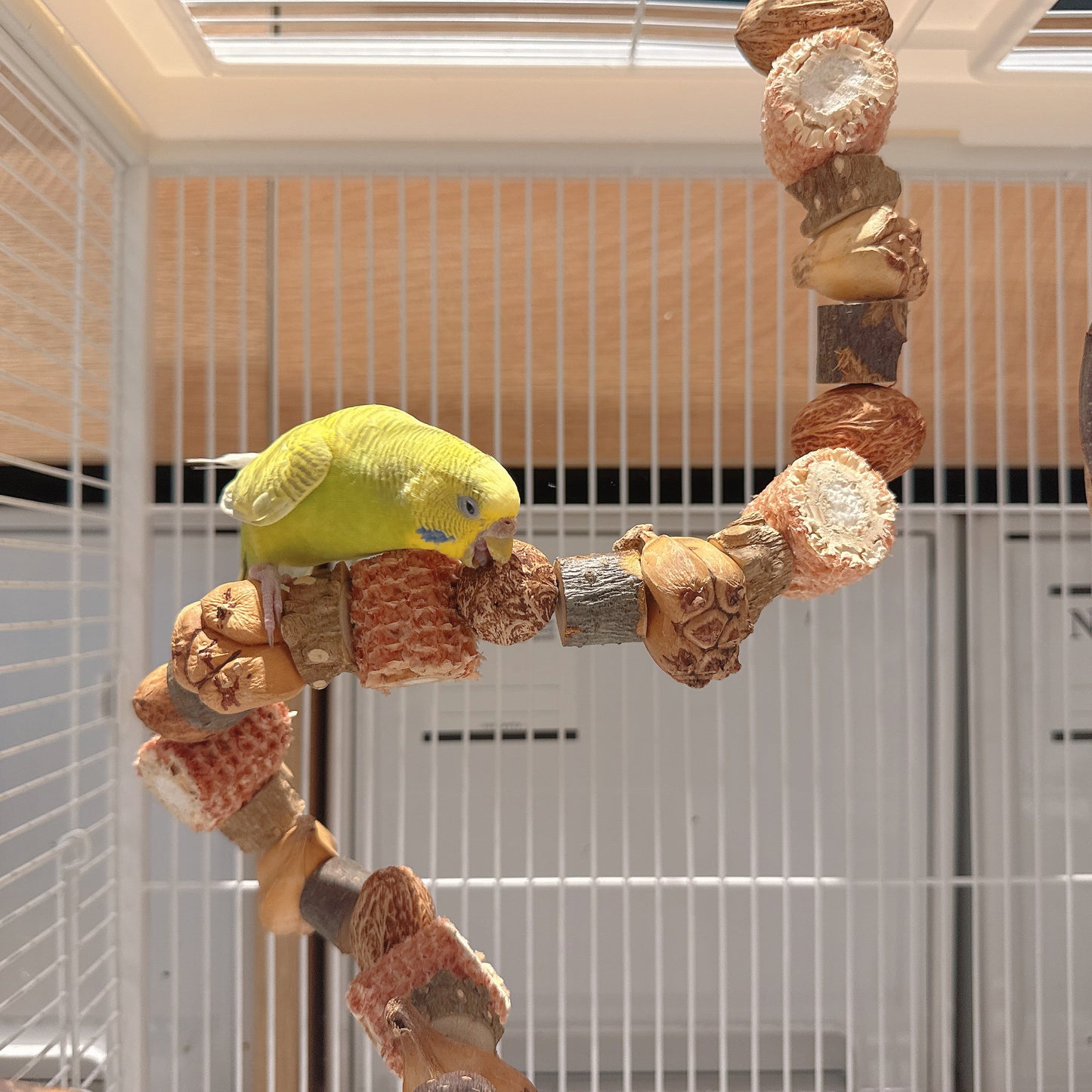 "The Harvest Twist" – Flexible Corn & Nut Foraging Perch (45cm\75cm)