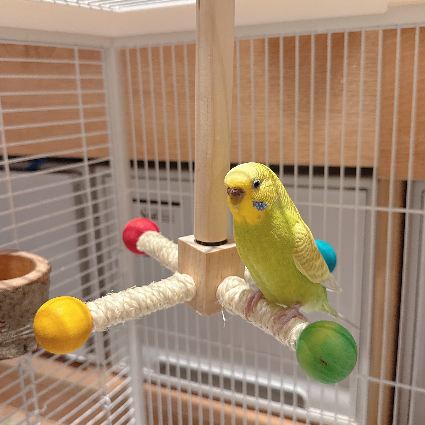 The Rainbow Carousel" – Spinning Rope Perch & Boredom Breaker