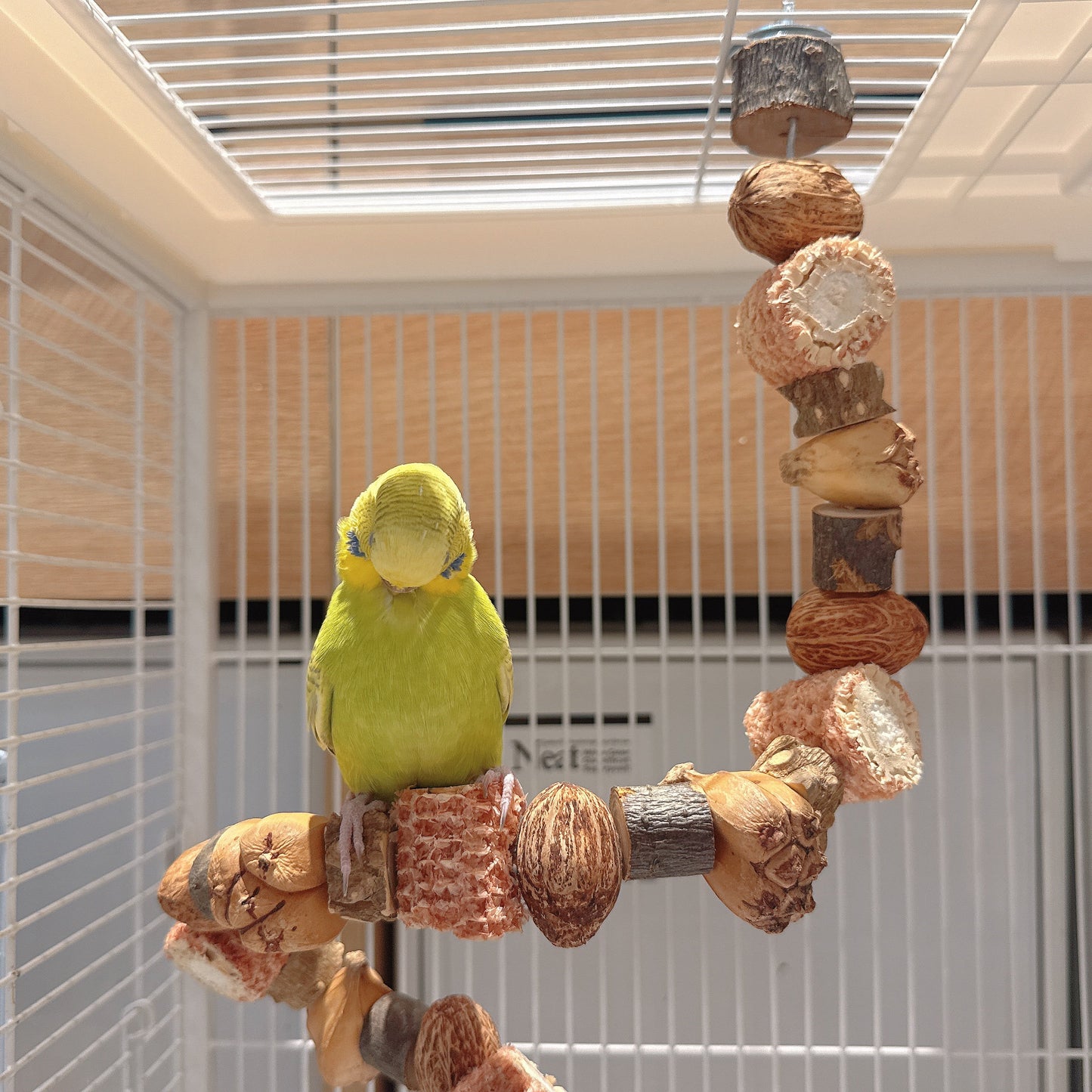 "The Harvest Twist" – Flexible Corn & Nut Foraging Perch (45cm\75cm)