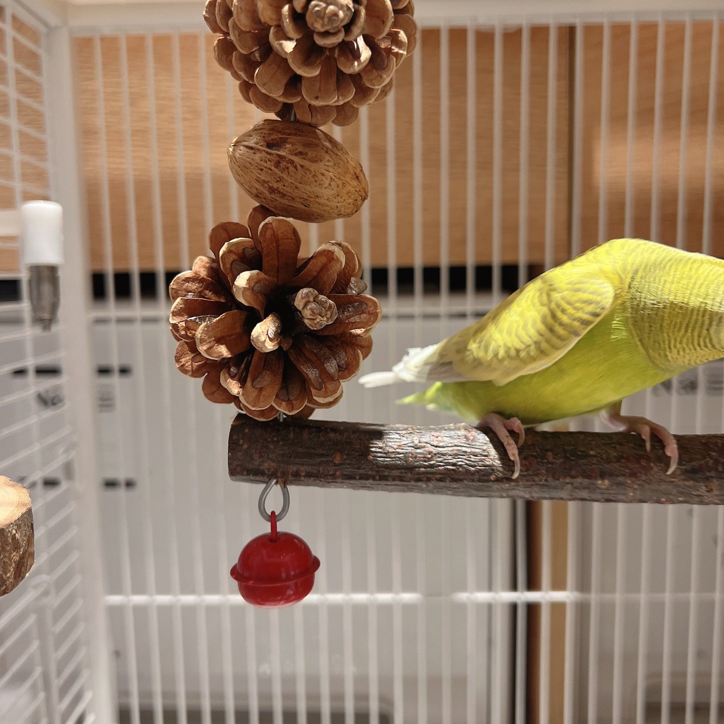 The "Forest Feast" Arch Swing – Pine Cone, Corn & Nut Chewing Gym