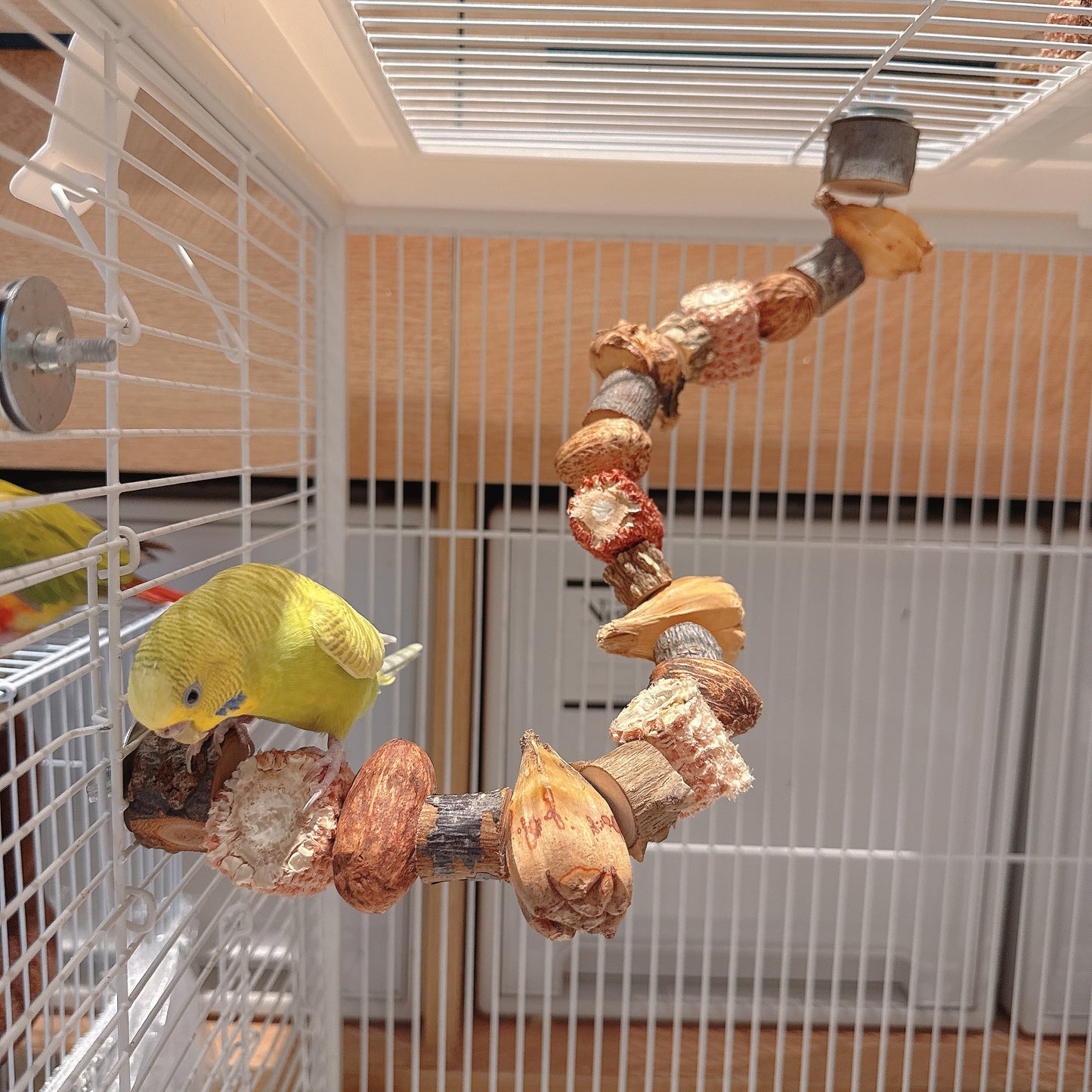 "The Harvest Twist" – Flexible Corn & Nut Foraging Perch (45cm\75cm)