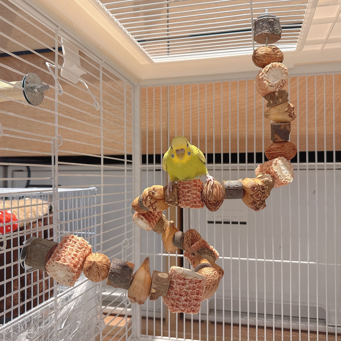 "The Harvest Twist" – Flexible Corn & Nut Foraging Perch (45cm\75cm)