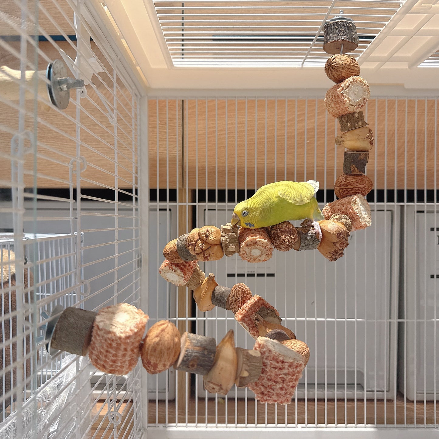 "The Harvest Twist" – Flexible Corn & Nut Foraging Perch (45cm\75cm)