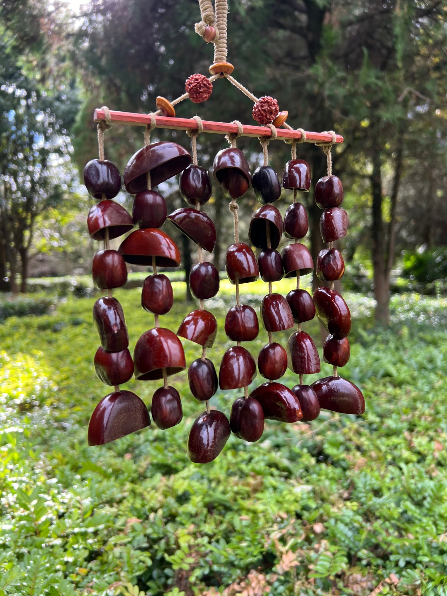 The "Forest Chime" – Natural Nut Shell Clacker & Gentle Noisemaker