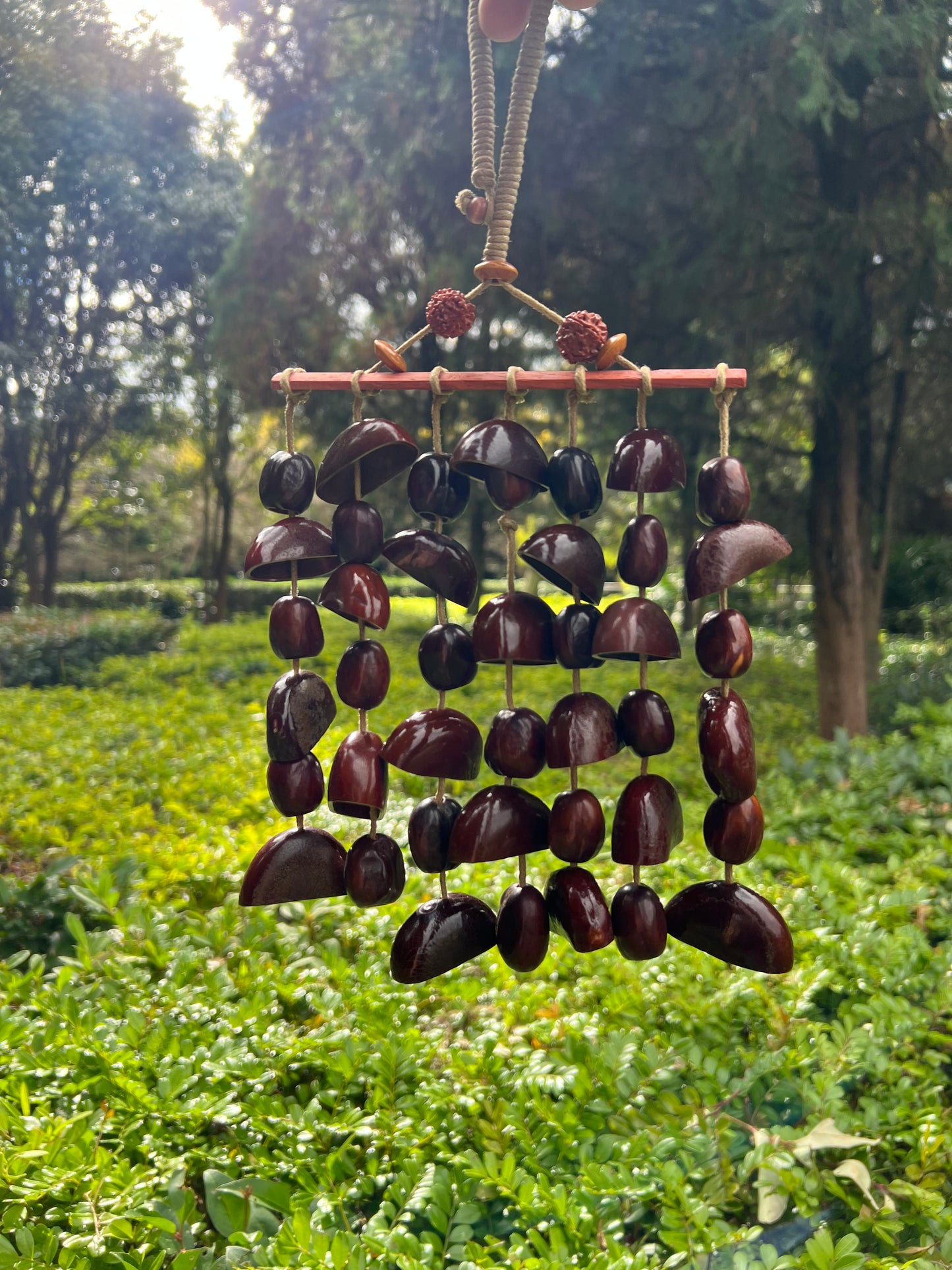 The "Forest Chime" – Natural Nut Shell Clacker & Gentle Noisemaker