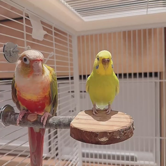 Natural Apple Wood "Rest & Play" Platform Perch – Healthy Feet & Safe Chewing