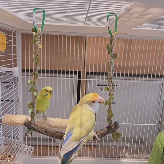 The "Forest Breeze" Natural Branch Swing – Rustic Cage Perch & Decor