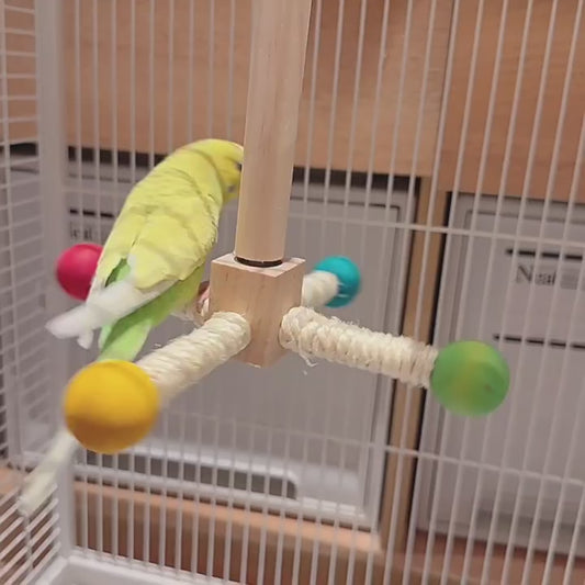 The Rainbow Carousel" – Spinning Rope Perch & Boredom Breaker